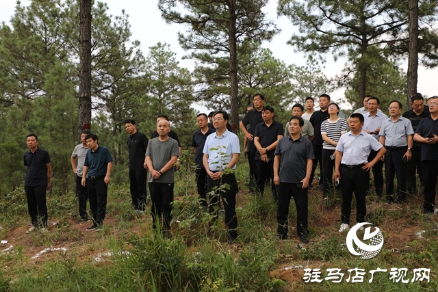 全省森林撫育經(jīng)營(yíng)現(xiàn)場(chǎng)推進(jìn)會(huì)在泌陽縣召開