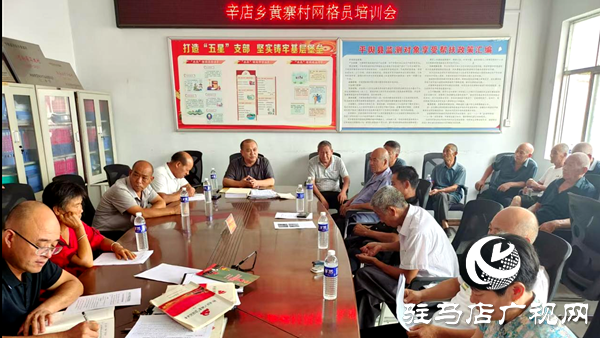 平輿縣辛店鄉(xiāng)：組織開展網格員專題培訓 提升基層治理效能