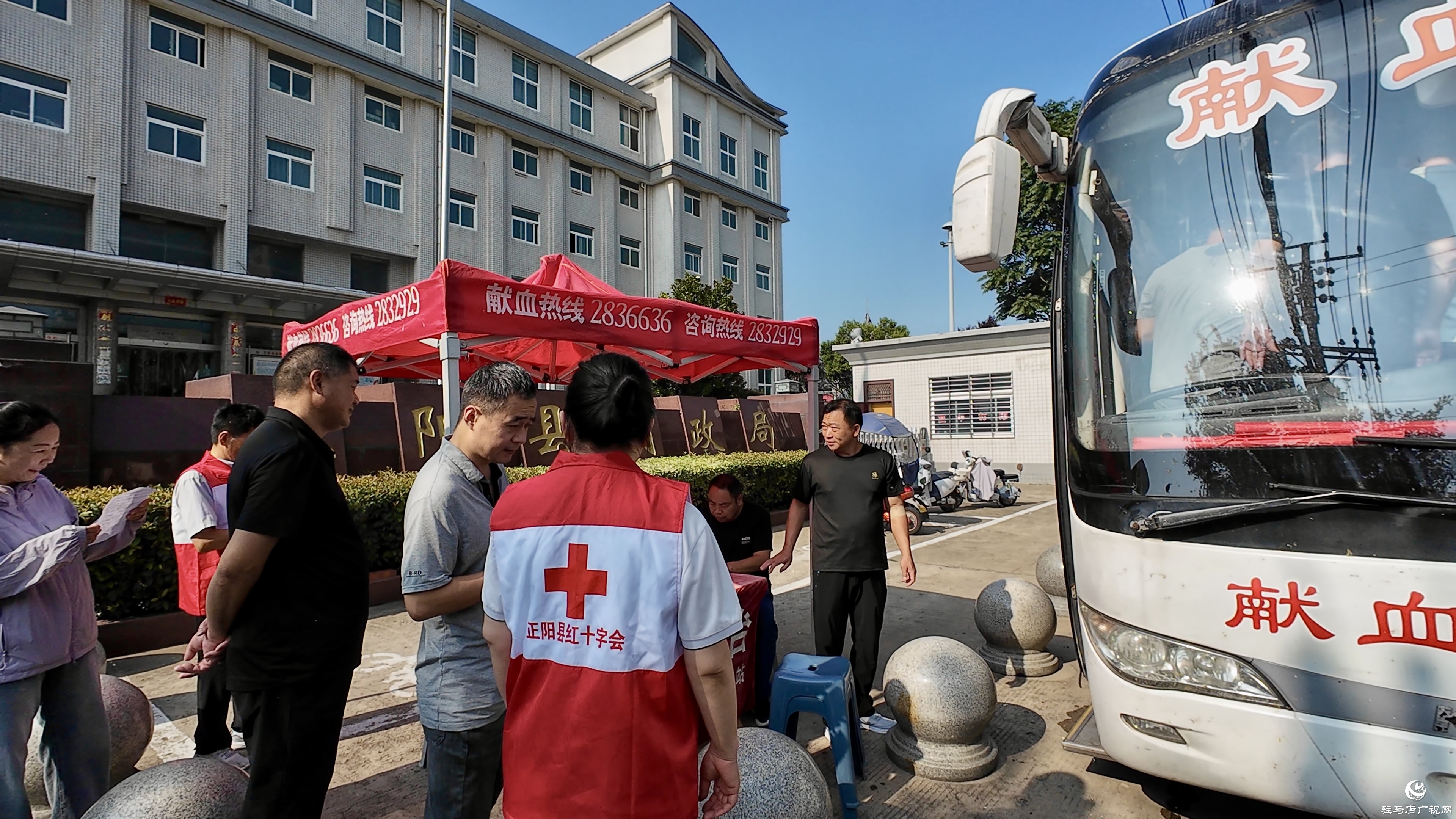 正陽：53名黨員干部獻(xiàn)血1.85萬毫升 為生命接力注入“紅色動(dòng)能”