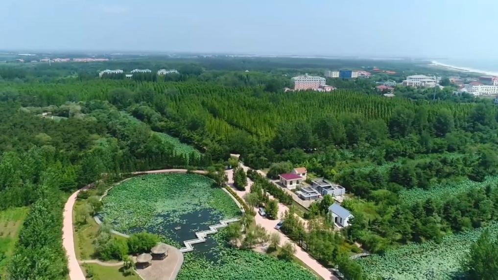 盤(pán)點(diǎn)暑期文旅打開(kāi)方式：多元業(yè)態(tài)激活消費(fèi)新動(dòng)能
