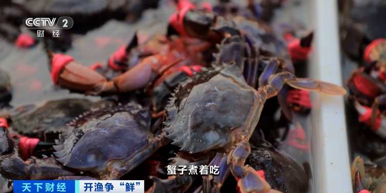 大降價！低至十元一斤！你愛吃的它，便宜了