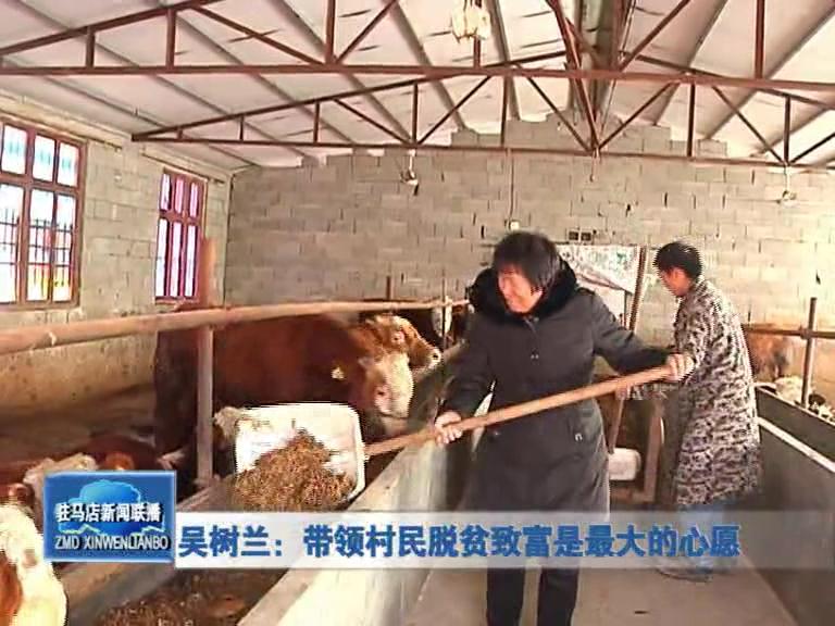 吳樹(shù)蘭：帶領(lǐng)村民脫貧致富是最大的心愿