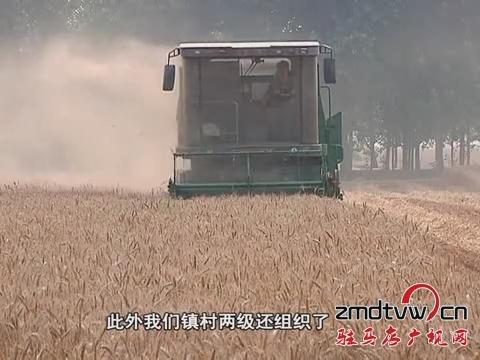 我市各地趁天搶時 加快麥?zhǔn)者M度